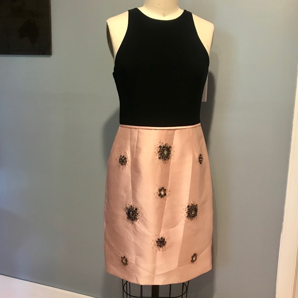 Adrianna Papell. Size 6. Black and pink dress.